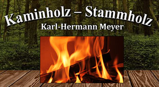 Meyer Kaminholz Stammholz in Bad Oeynhausen - Logo