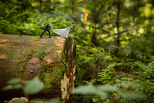 Bild 3 Joachim Klingner - Fotografie in Bad Wildbad