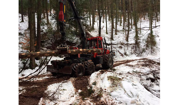 Bild 2 Forstbetrieb Kessler GbR in Bad Peterstal-Griesbach