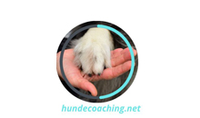 Kundenlogo von Hundecoaching Manuela Henschke